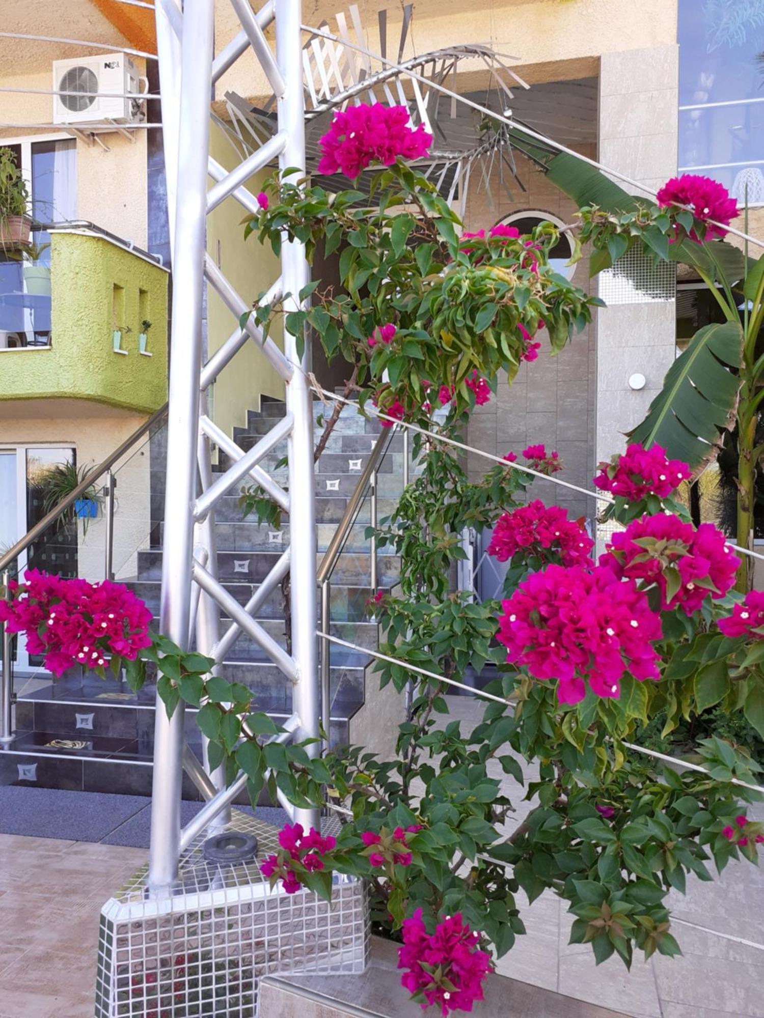 Lilalo Ηotel Paralia Katerinis Bagian luar foto